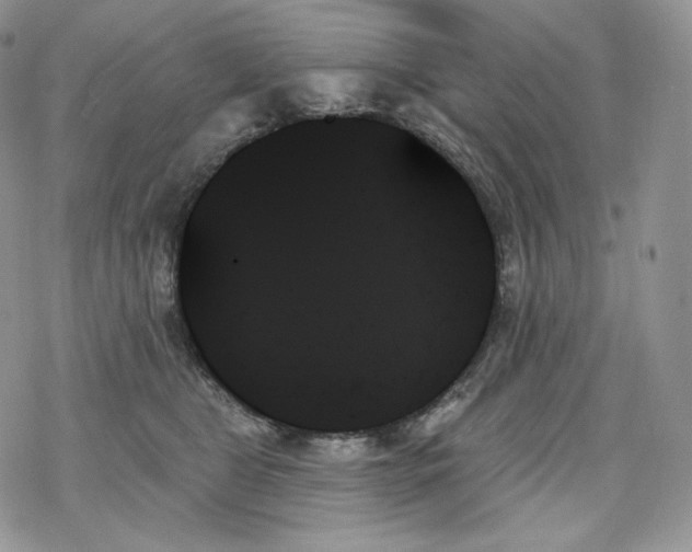 X0000078270469200611251358