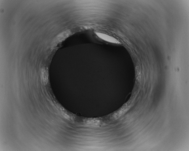 X0000078270471200611251358