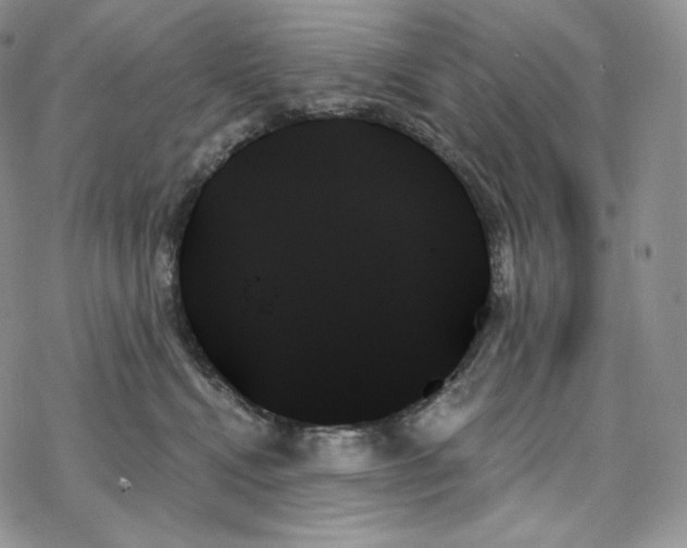 X0000078270472200611251358