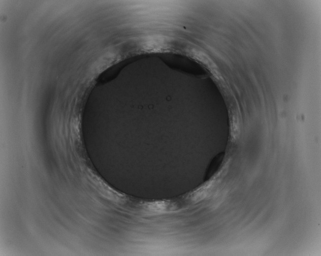 X0000078270473200611251358