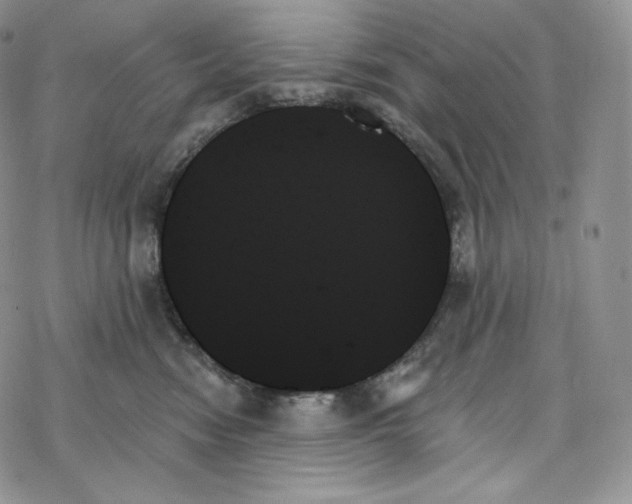 X0000078270474200611251358