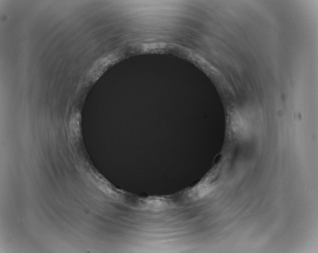 X0000078270475200611251358