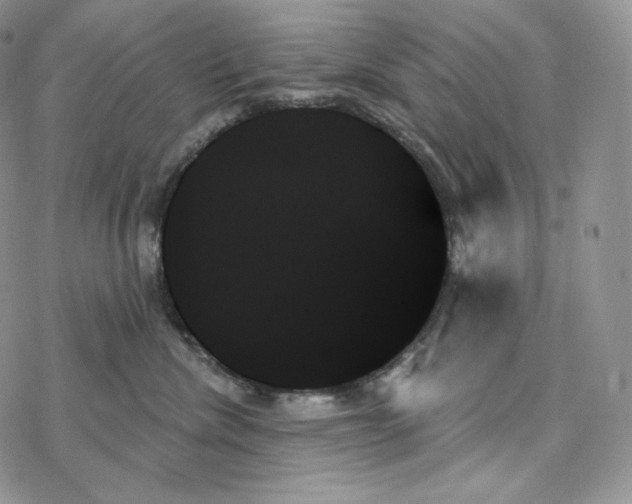 X0000078270476200611251358