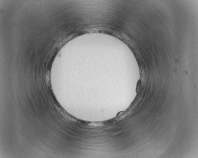 X0000078270477200611251358