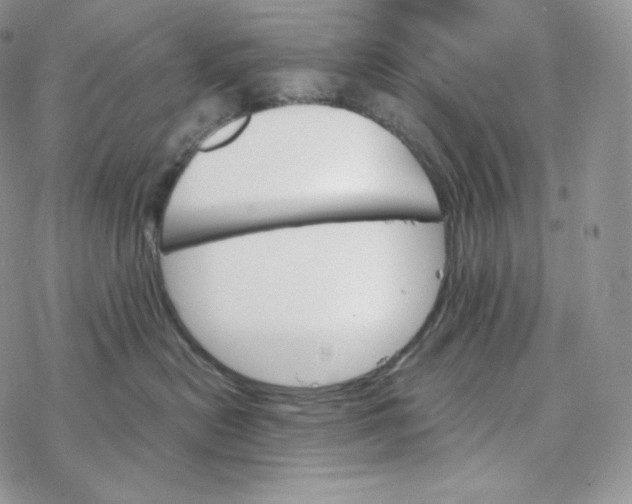 X0000078270478200611251358