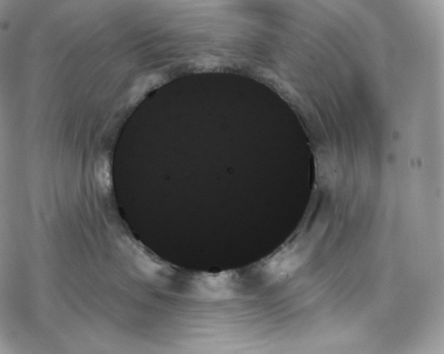 X0000078270479200611251358