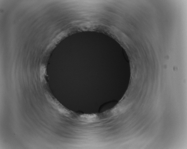 X0000078270480200611251358