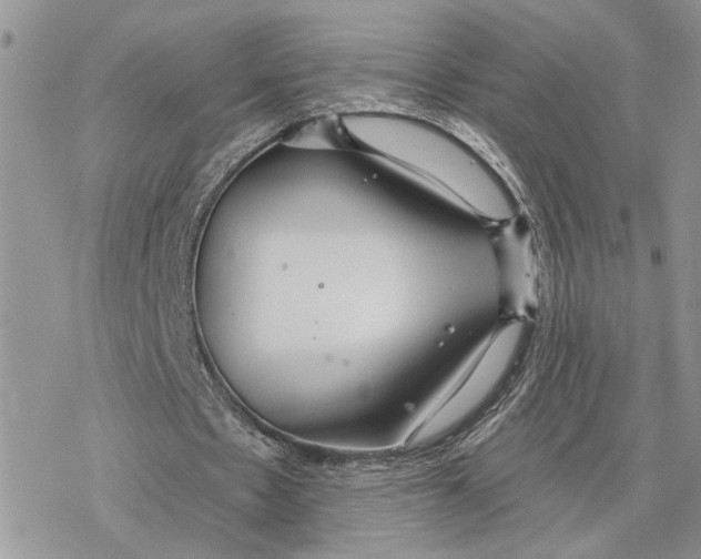 X0000078270481200611251357