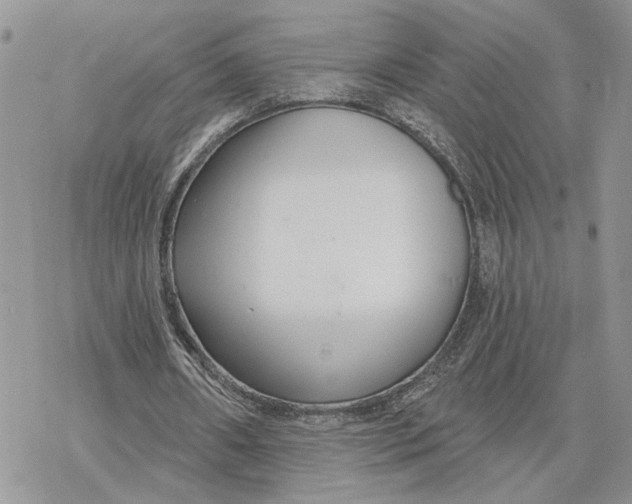 X0000078270482200611251357