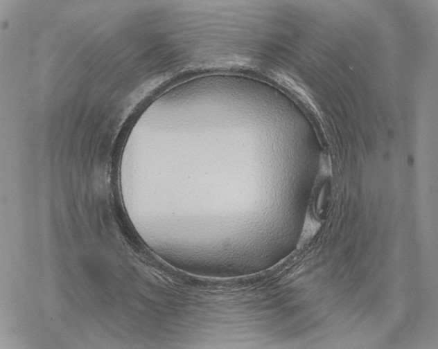 X0000078270483200611251357