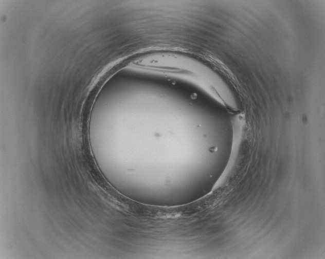 X0000078270484200611251357