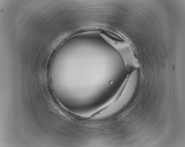 X0000078270485200611251357