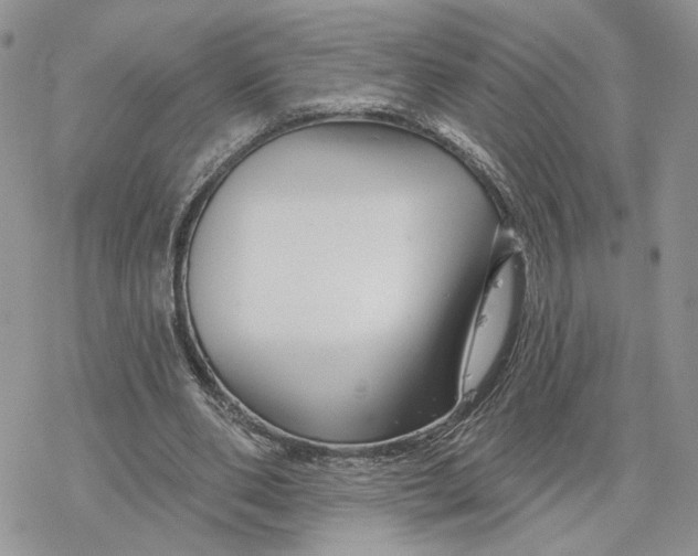 X0000078270486200611251357