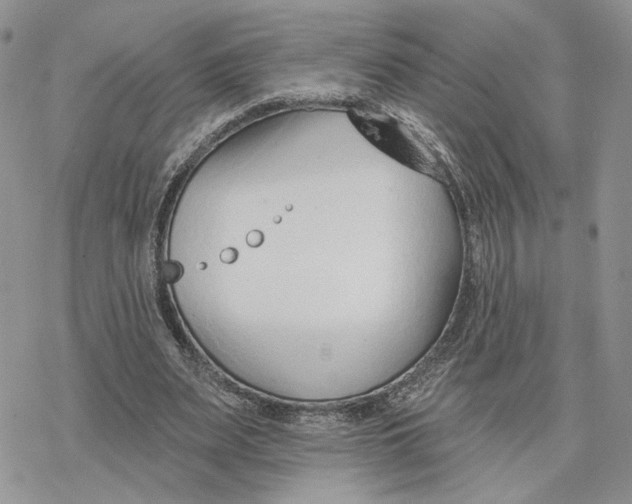 X0000078270487200611251357