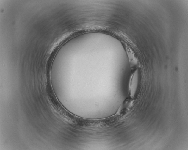 X0000078270488200611251357