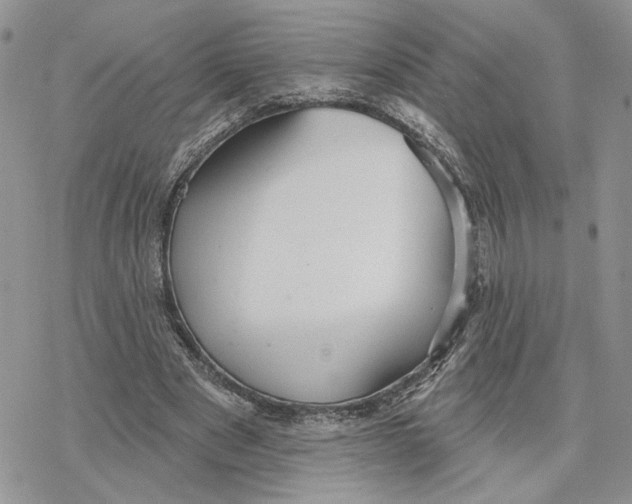 X0000078270489200611251357