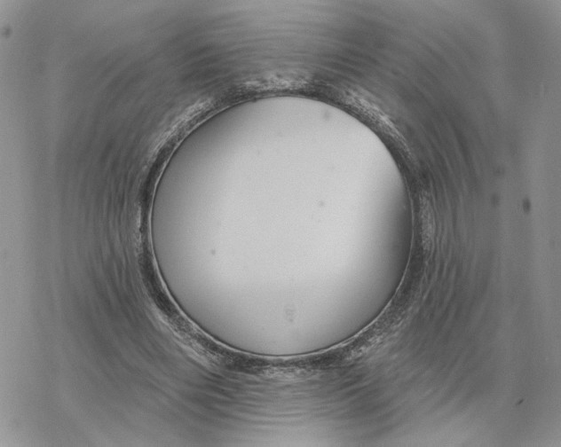 X0000078270490200611251357