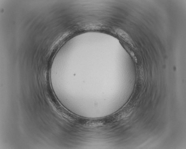 X0000078270491200611251357