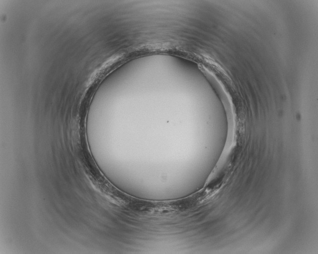 X0000078270492200611251357