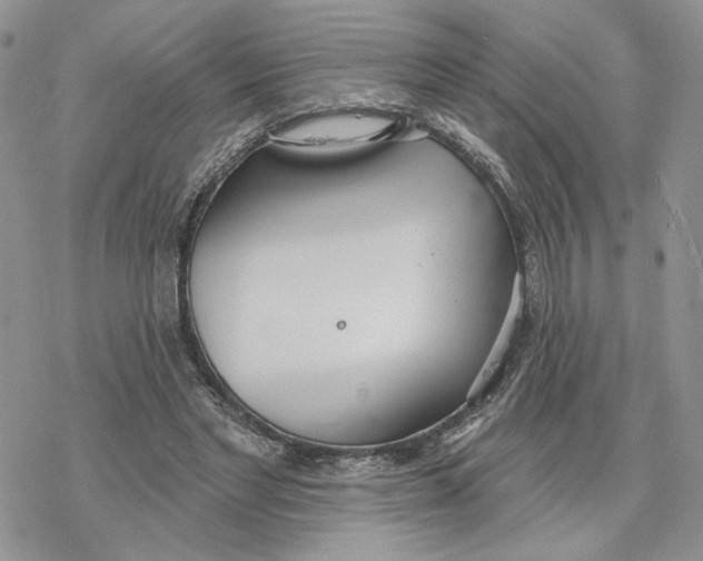 X0000078270493200611251357