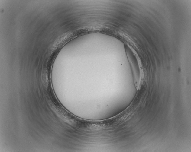 X0000078270494200611251357