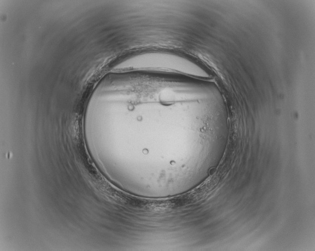 X0000078270495200611251357