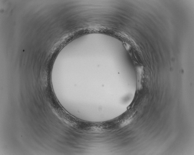 X0000078270496200611251357