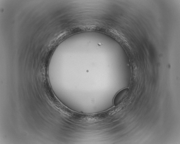 X0000078270498200611251357