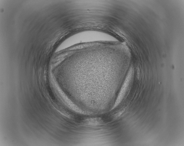 X0000078270499200611251357