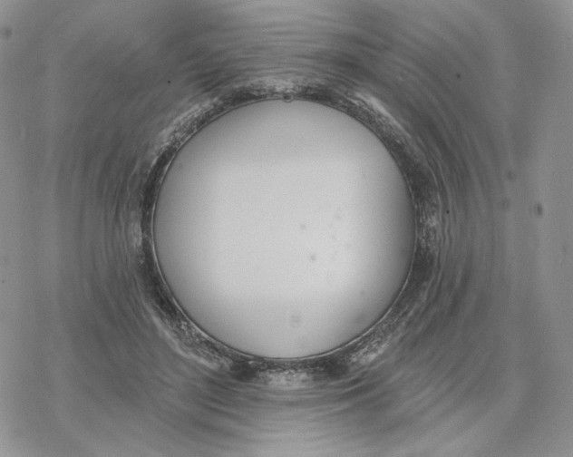 X0000078270500200611251357