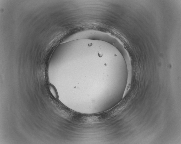 X0000078270501200611251357