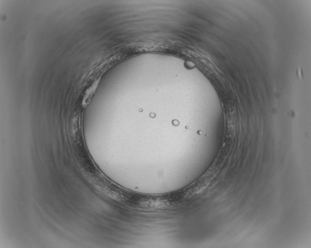 X0000078270503200611251357