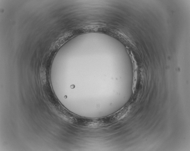 X0000078270504200611251357