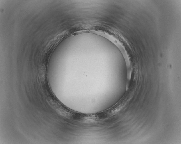 X0000078270505200611251357