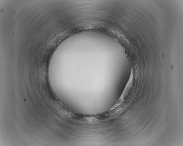 X0000078270509200611251357