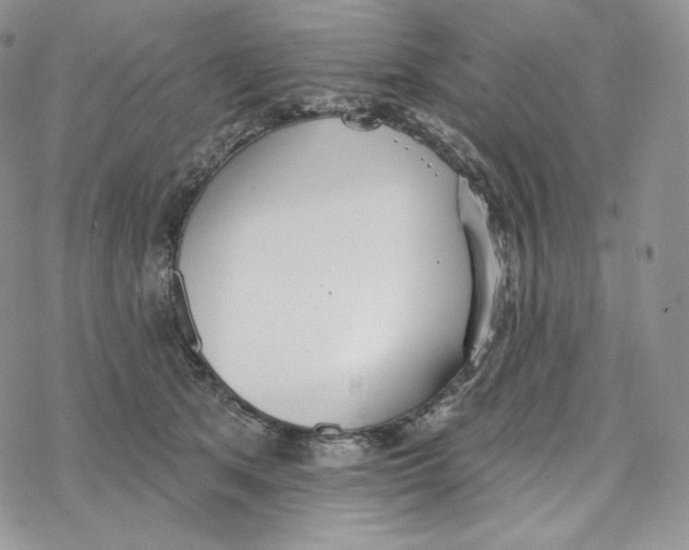 X0000078270513200611251356