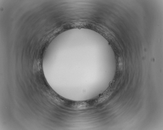 X0000078270514200611251356