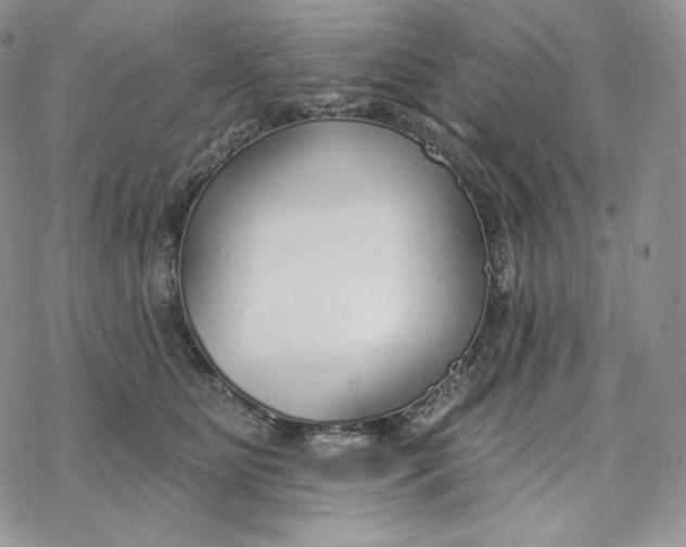 X0000078270515200611251356