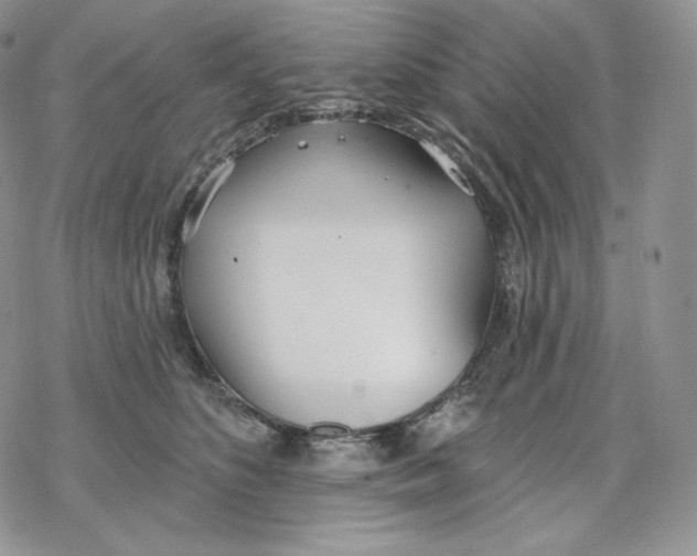 X0000078270516200611251356