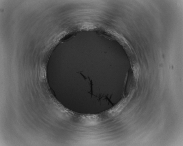 X0000078270517200611251356