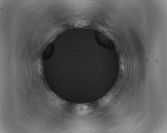 X0000078270519200611251356