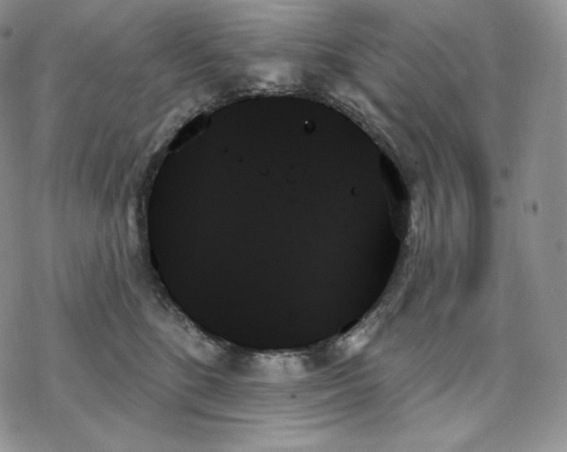 X0000078270520200611251356