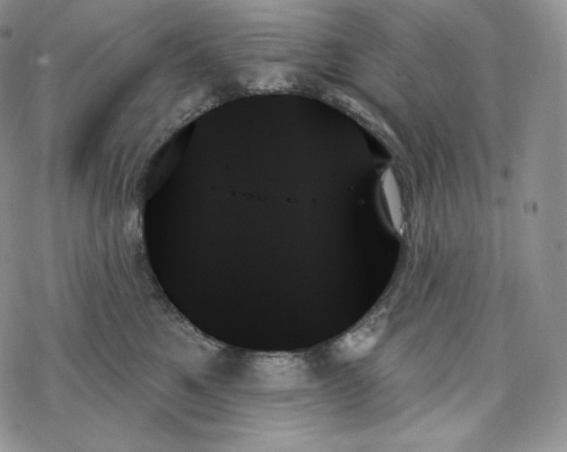 X0000078270521200611251356