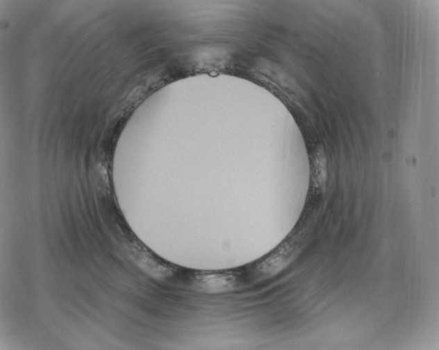 X0000078270522200611251356