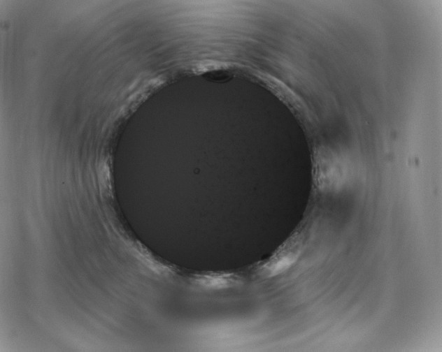 X0000078270523200611251356