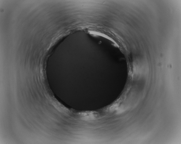 X0000078270524200611251356