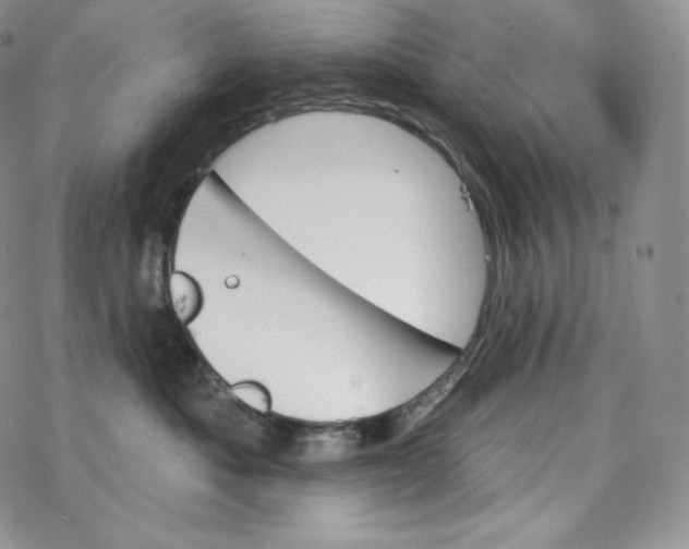 X0000078270525200611251356