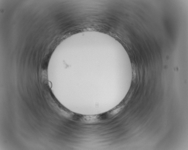 X0000078270526200611251356