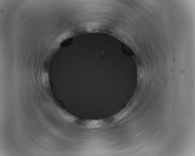 X0000078270527200611251356