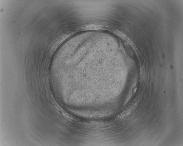 X0000078270529200611251355